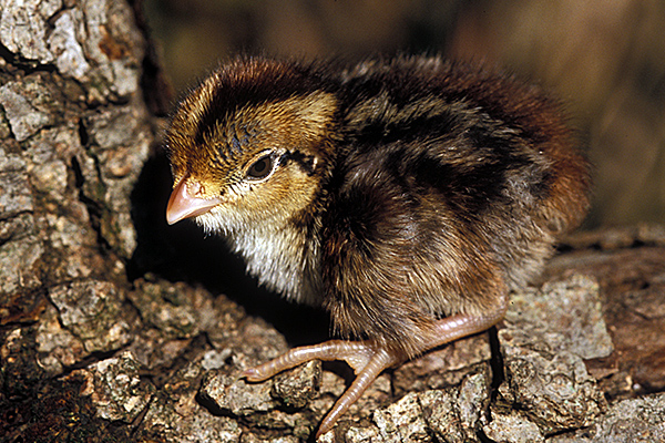 74072bbb-4dbe-4a3d-aaaf-463b3719a028