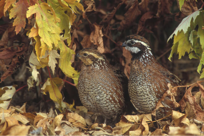 2f7f995c-14c3-48e0-a484-80b058d58d84