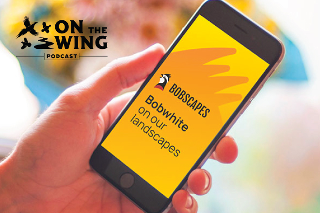 37292772-ec85-4acc-8306-3f78a7c02584