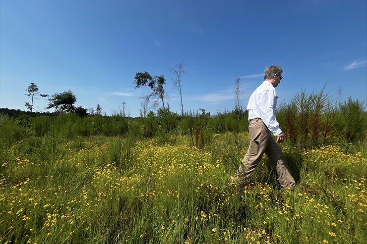 3aa83c66-dd77-4c91-b84b-961ebb968a39