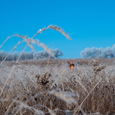  <h2>Yellow Medicine County, MN</h2><p hidden="">.</p>
