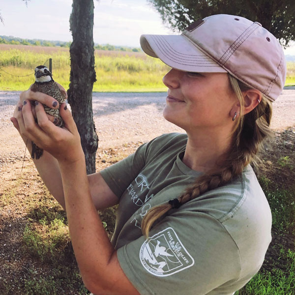  <h2>West Point, Mississippi </h2>Mississippi State University grad student Olivia Lappin sent in this awesome photo of her holding a radio-collared bobwhite quail while doing field research. Olivia says she is researching bobwhite quail for her master's degree.<br />
<br />
She says, "I am researching bobwhite for my Masters degree at Mississippi State. This research allows me to capture quail through various capture methods and attach bands and radio collars to each bird. Attaching radio collars allows myself and my technicians to track the birds locations each day to keep up with resource use, mortality, and nesting! This is one of my favorite photos of a male who we recaptured during a mist netting attempt!"