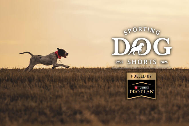 4c006bc9-7920-41d5-b1e5-b377148635a8