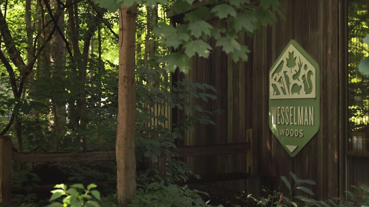 578ed414-7e9e-4c0e-acaa-dcf76281da38