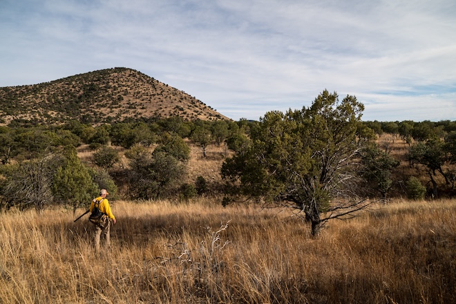 669aa801-f8d6-4db8-9eb4-90c060e4936f