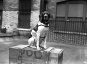 72f7b0a7-4ab0-4da9-be6f-49ca4624548a