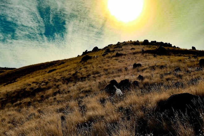 776d6d4f-9b37-4c1e-860d-80319c9d26f6