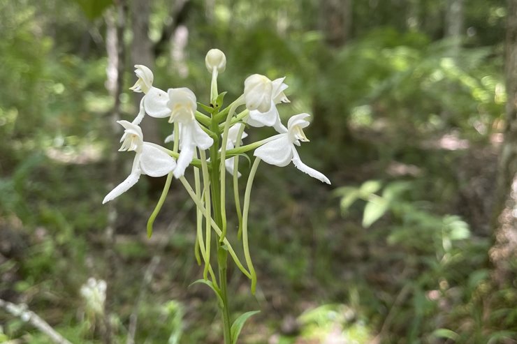 78b443cc-82d8-47a8-99fd-955c895c113a