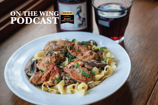 9c37a33d-8b26-4472-8103-20b38c9bbeb6