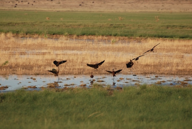 9e151245-6dc9-490d-84d9-7df51bb7e036