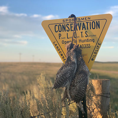  <h2>Stutsman County, ND</h2><p hidden="">.</p>
