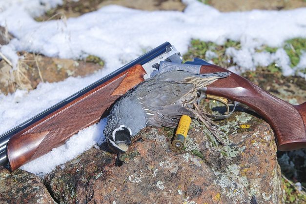 b1c7bdaa-3c83-4886-af38-80af809f066b