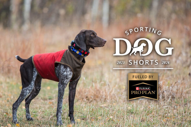 b9046847-34bb-4703-89a3-c8e1ffae77cc