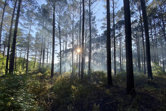 c89b5af1-bdb6-45c4-8691-4d046f9c7d5d