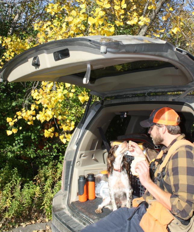 A little snack, even part of your sandwich, wont hut your dog during the midst of a hunting day. But limit her intake. A little snack, even part of your sandwich, wont hut your dog during the midst of a hunting day. But limit her intake.