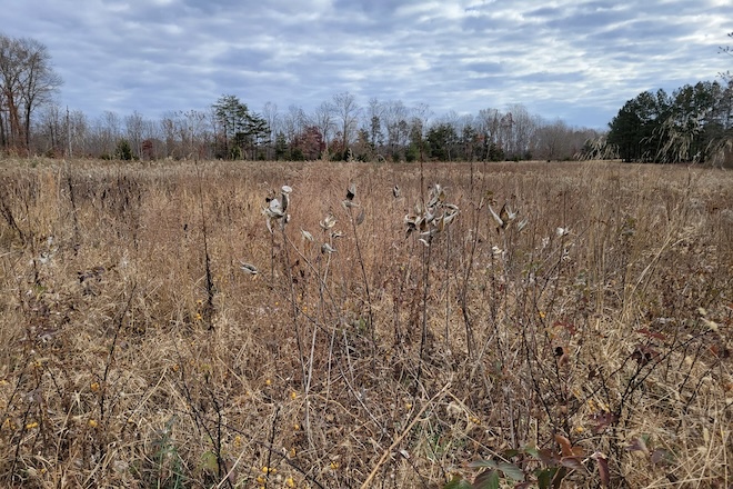 d19da48d-ea05-47fd-ad50-9753ed99fdf3