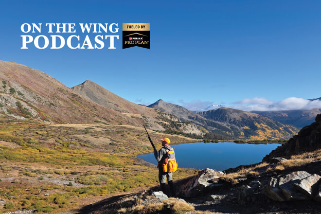 dbf05370-733a-4c59-bfb7-460e2a9d8ec8