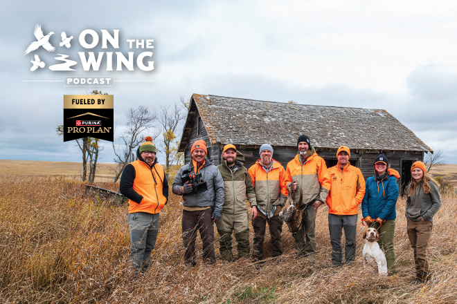 de6f1d19-bfb5-4bc1-8e17-a2bc0fab801e