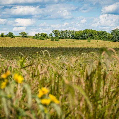  <h2>Stearns County, MN</h2><p hidden="">.</p>
