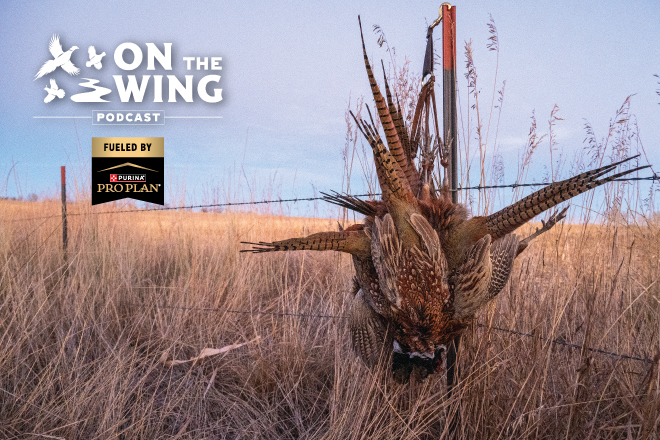 ef848419-1383-4c8b-8e33-d1363da9696c