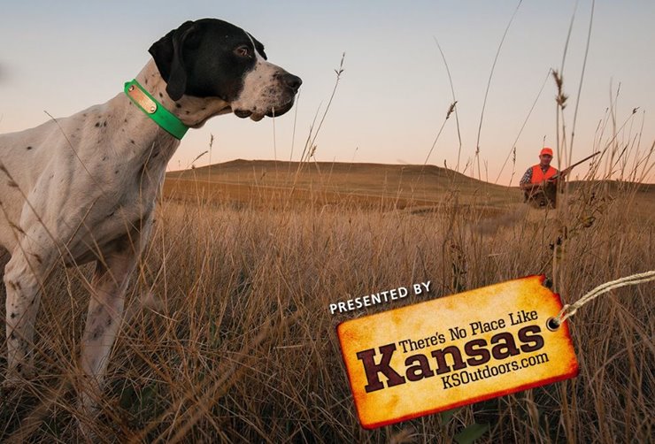 f002f277-676c-4794-8616-6c578febc710