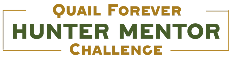 MentorChallengeQF.png