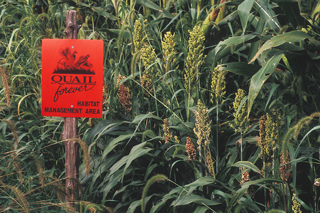 f6b49cc9-ff4c-4a5e-802d-3fdd34ee7172