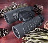 Bushnell Binocular 10 X 42 XLT