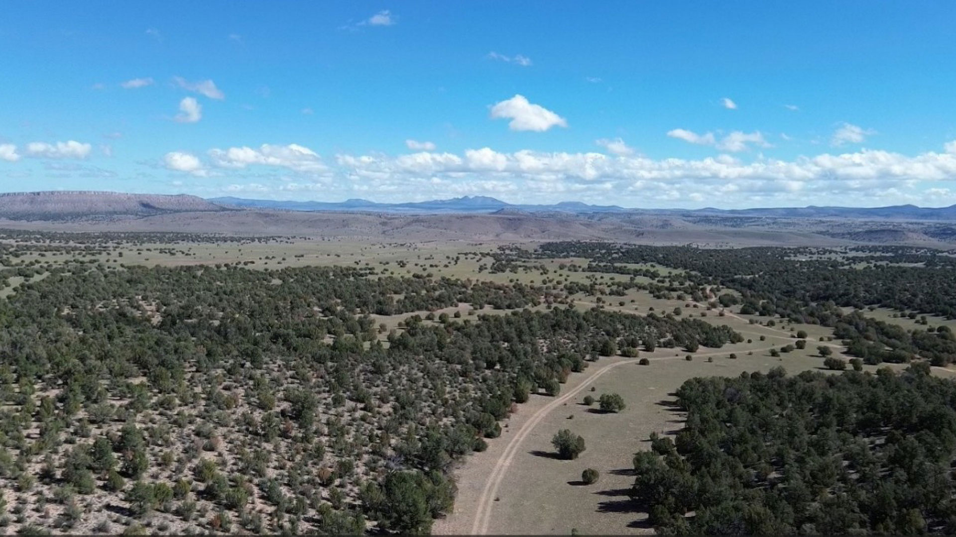 Arizona Quail are Coming Back