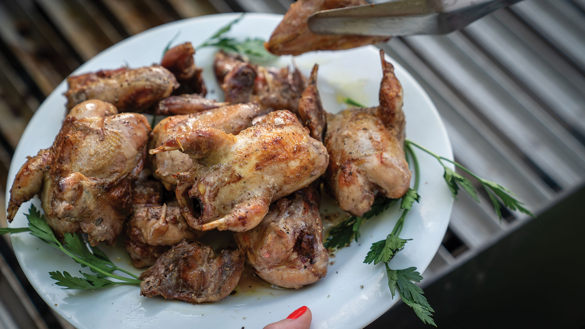The Hunter's Table // Simple Grilled Quail