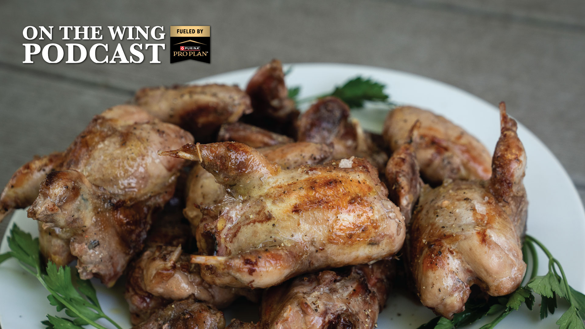 PODCAST EP. 381: "Gamey" - A Pheasants Forever and Quail Forever Short Essay