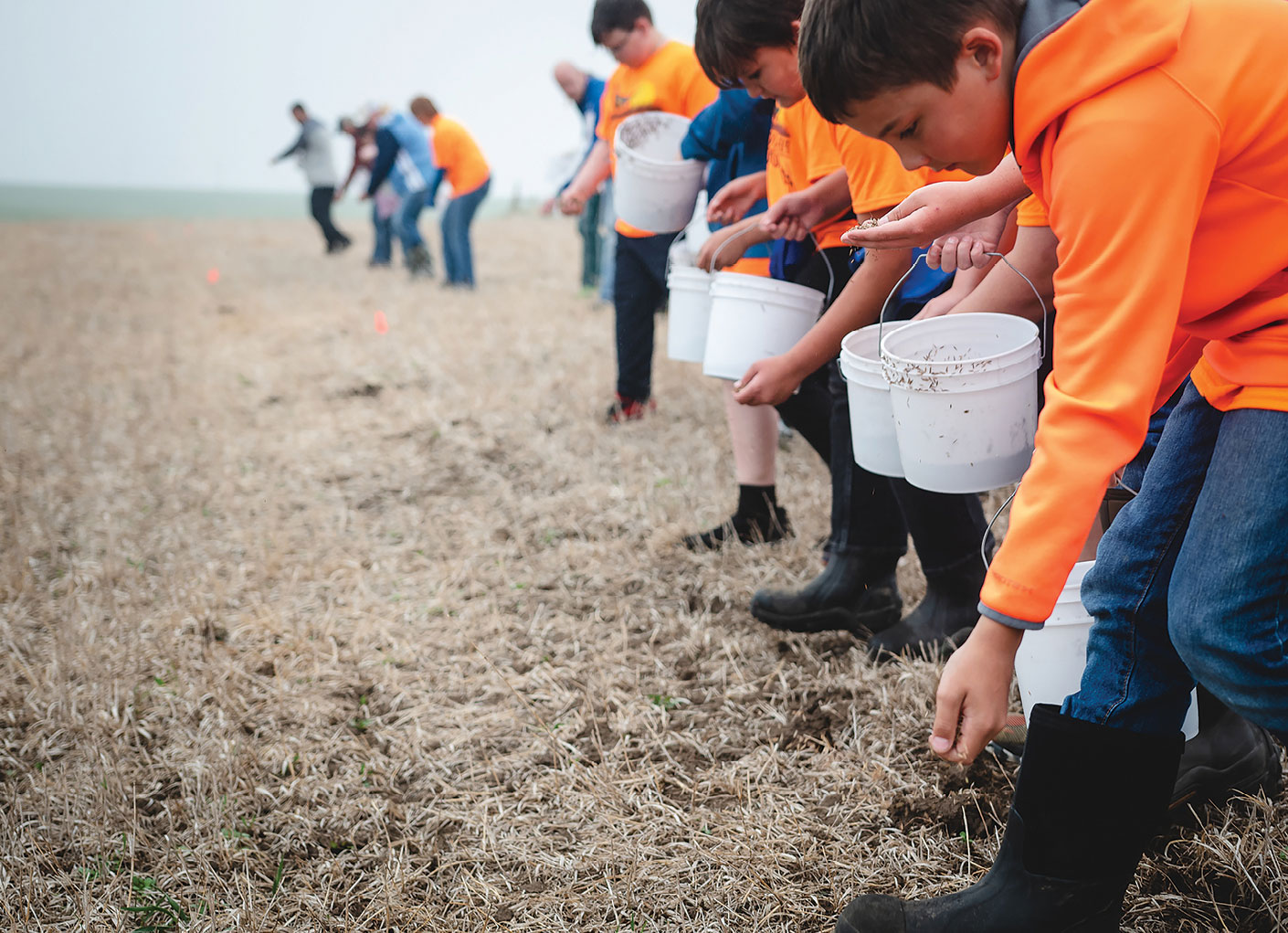 pollinator-habitat-outreach-content.jpg