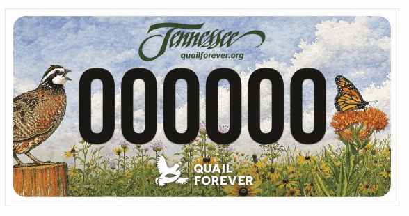 Blog-QF-Tennessee-Plates- inline.jpg