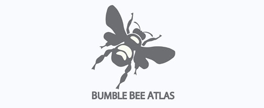 card-monitoring-bumble-bee