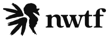logo-NWFT.png