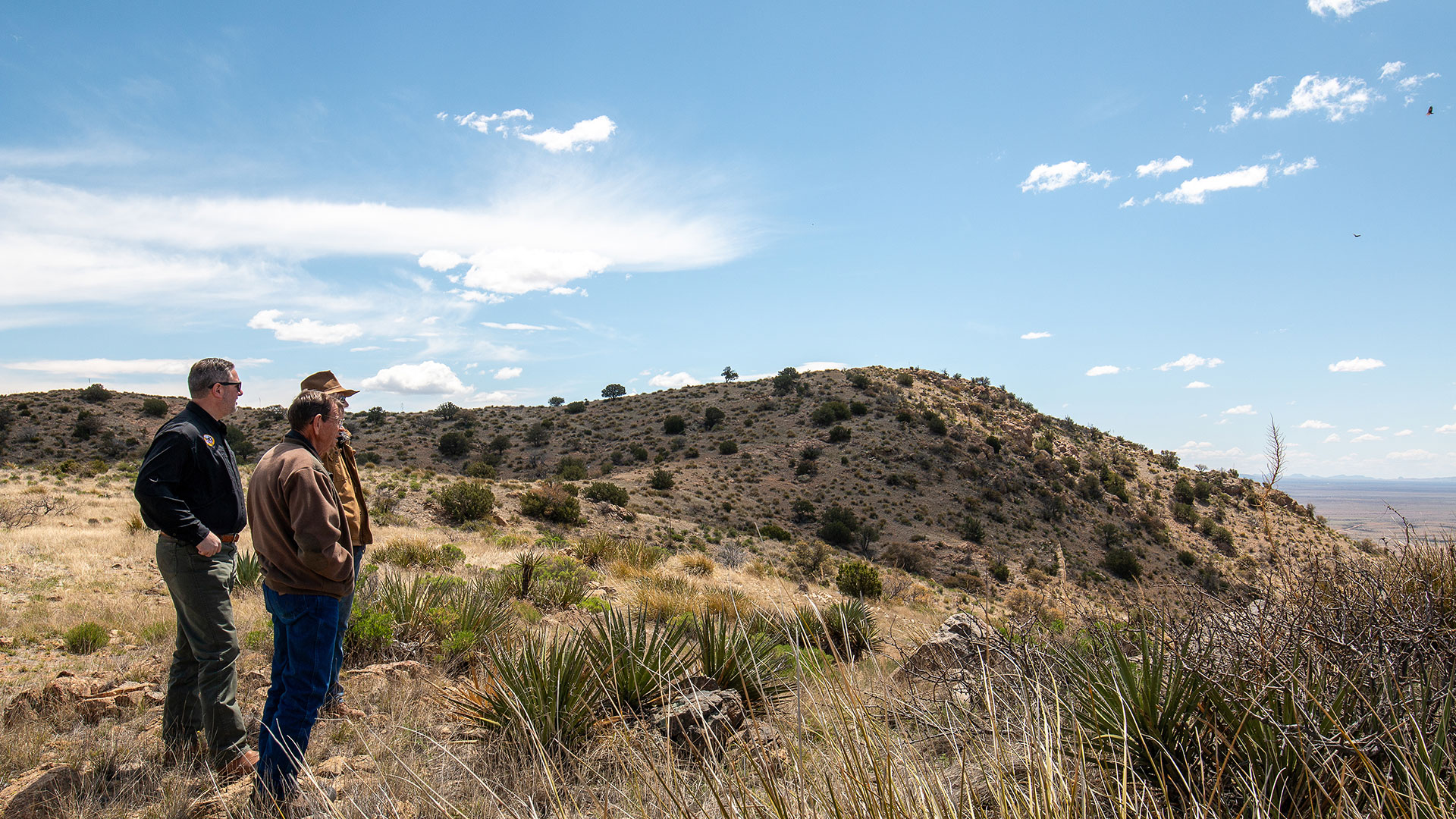 Many Hands Make for Light Work in the Arizona Quail Initiative