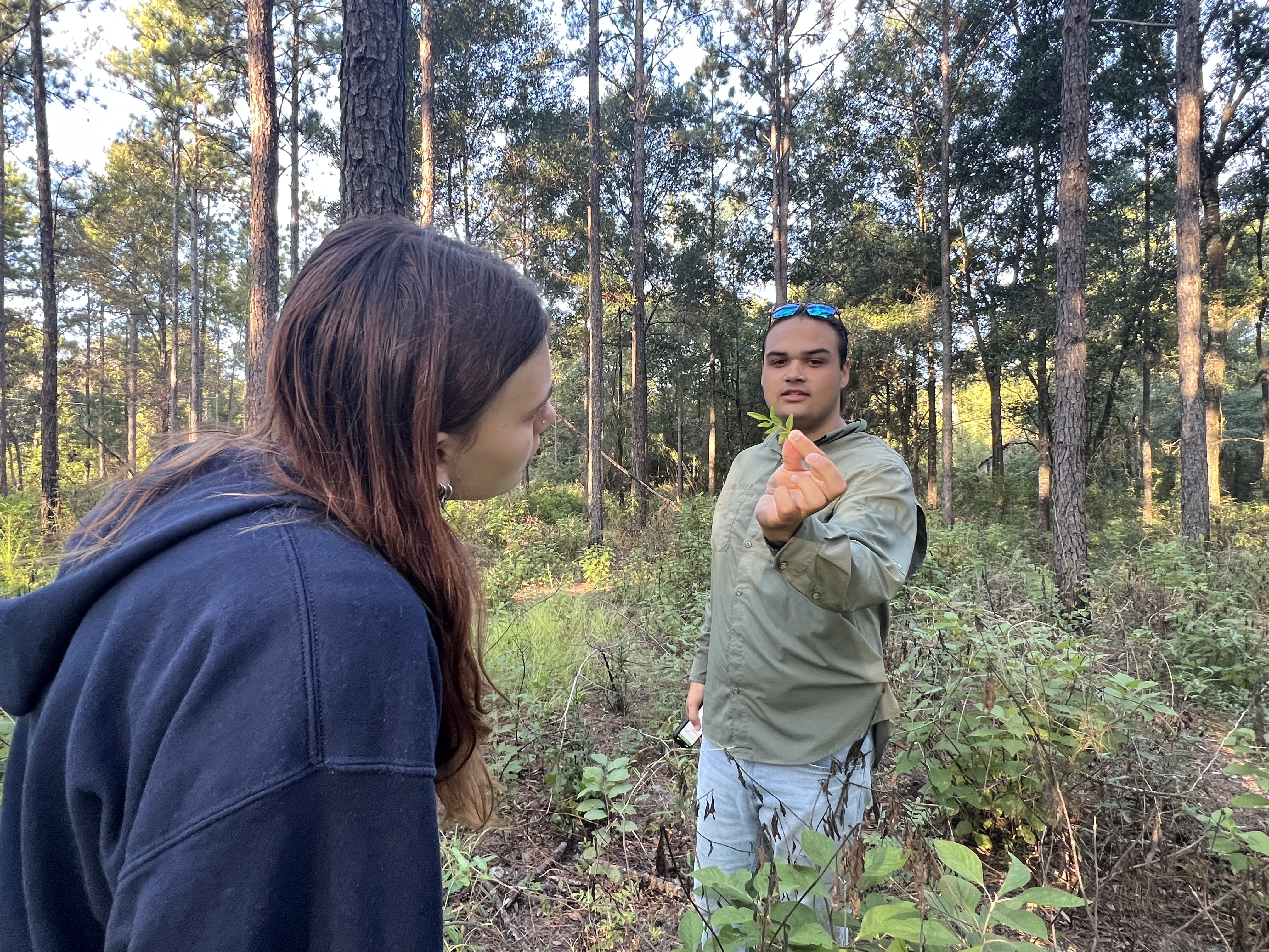 Quail Forever in Florida partners with Conservation Pathways to help students find careers in conservation