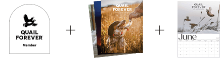 membership-qf-adult-journals-calendar-product.png