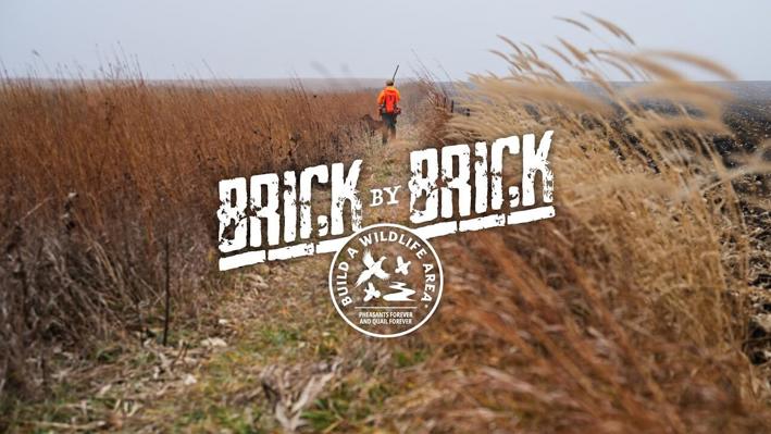 video-brick-by-brick-thumb.jpg